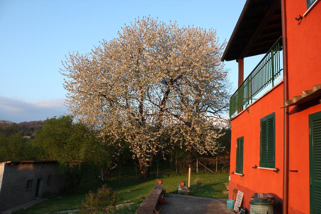 Bed and Breakfast La Finestra Sul Lago Ronciglione  Exterior foto