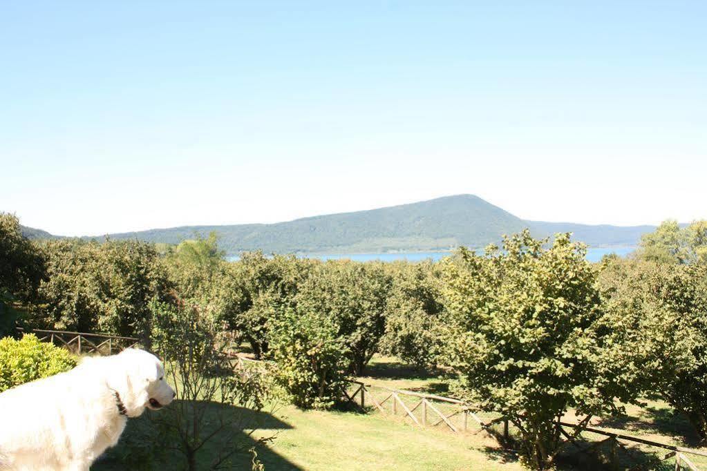 Bed and Breakfast La Finestra Sul Lago Ronciglione  Exterior foto